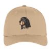 Flexfit ® Cap Thumbnail