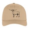 Flexfit ® Cap Thumbnail