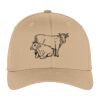 Flexfit ® Cap Thumbnail